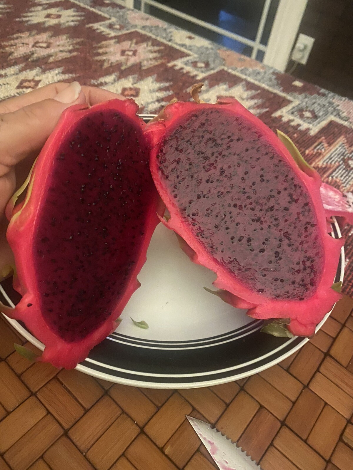 One Vietnamese read DRAGON FRUIT CUTTING 8- 12 Inches