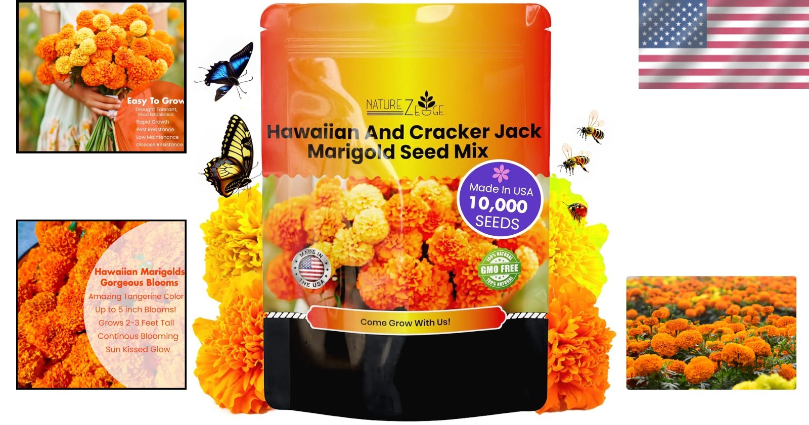 Marigold Seeds Bulk 10,000 Hawaiian and Cracker Jack for Outdoor Gardening