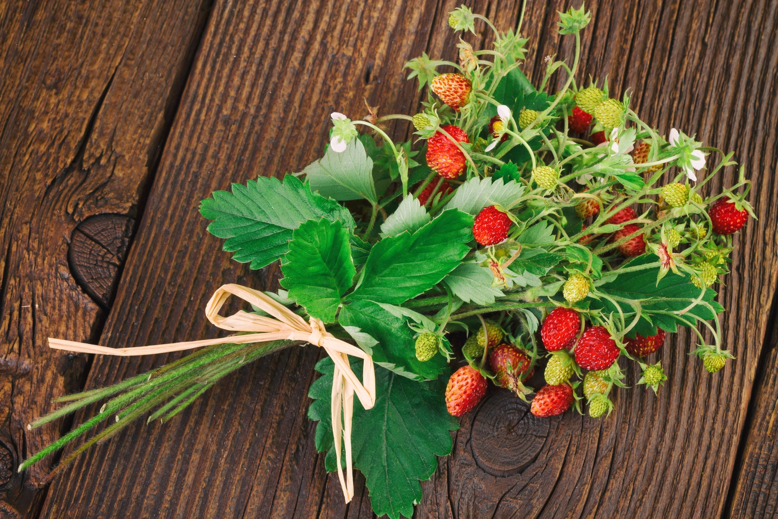 100 ALPINE STRAWBERRY Fragaria Vesca Red Fruit White Flower Seeds *Flat S/H