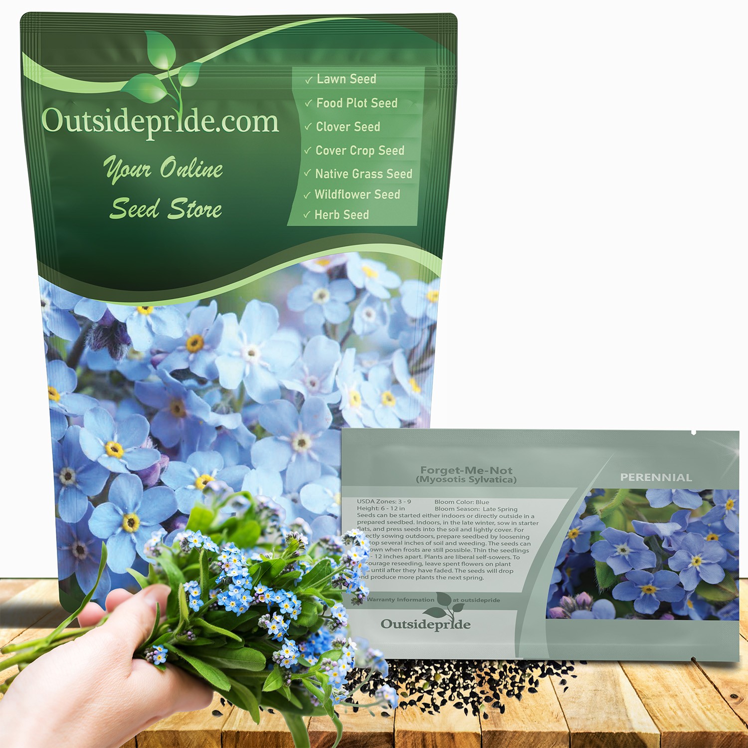 1 LB Sky Blue Forget Me Not Seed For Planting – Myosotis Sylvatica Ground