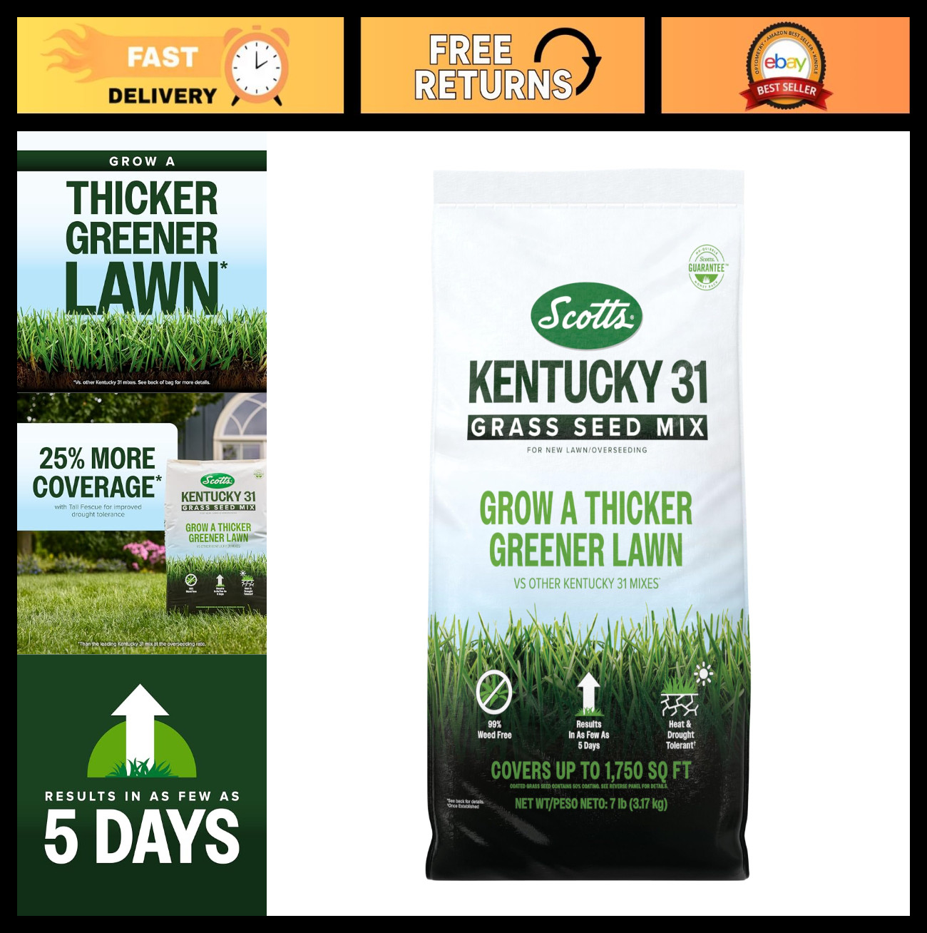Kentucky 31 Grass Seed Mix for New Lawns & Overseeding, Thick & Green Growth, Co