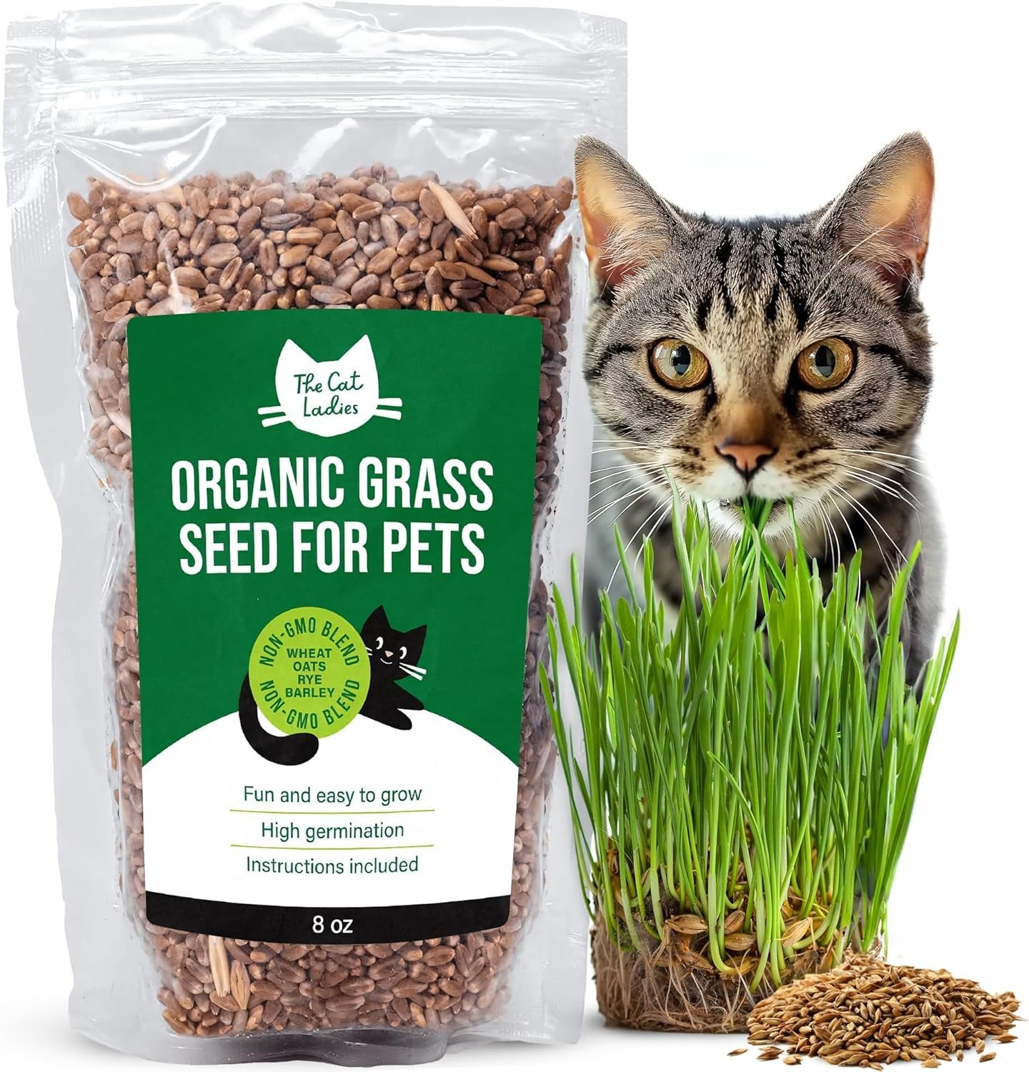 Healthy Organic Cat Grass Seed – 8oz Non-GMO Blend for Indoor & Outdoor Use
