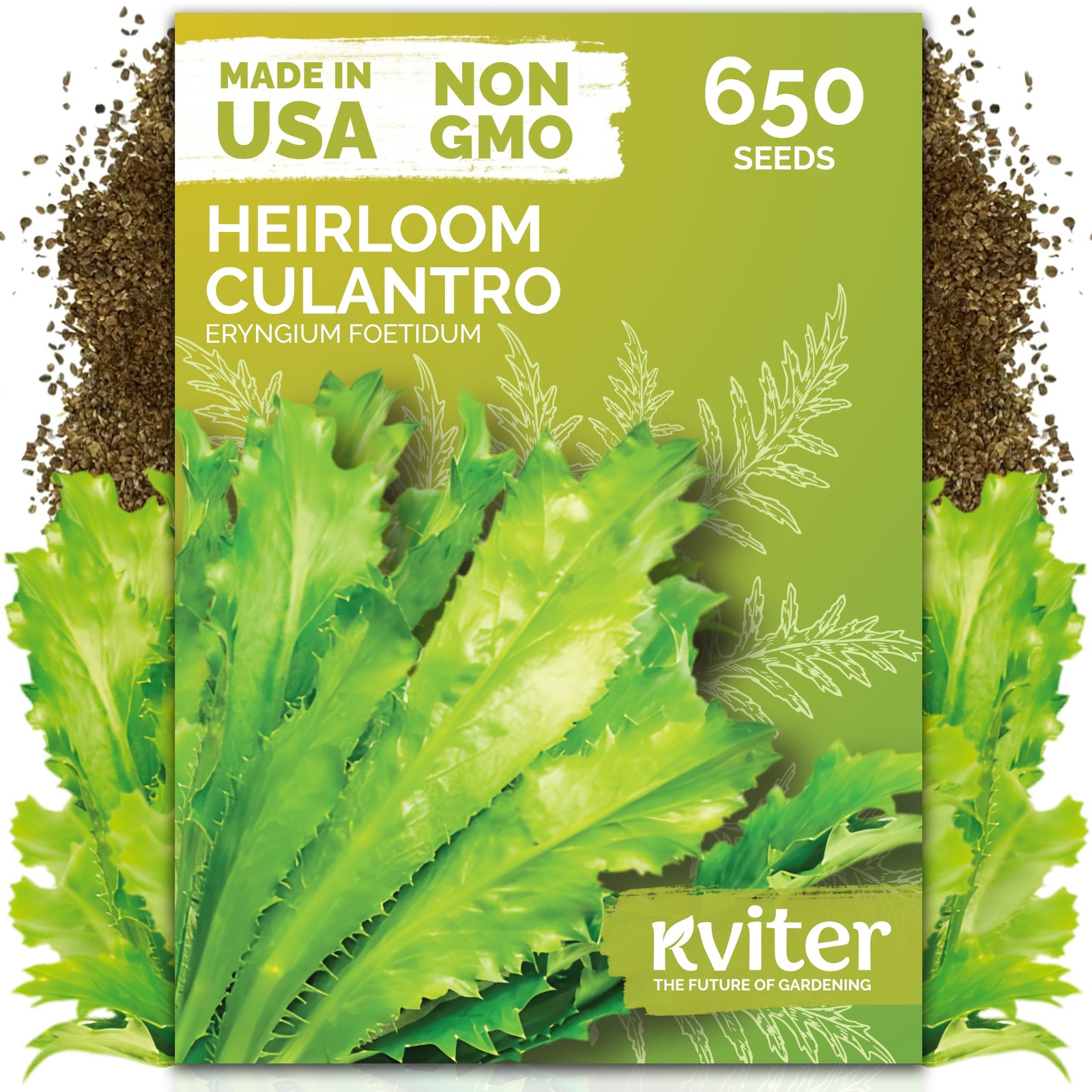 KVITER 650 Vietnamese Culantro Seeds (Eryngium Foetidum)