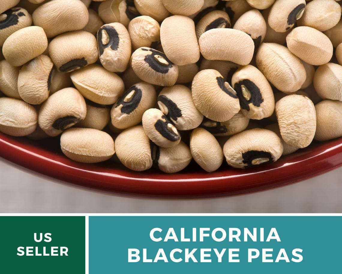 Peas, California Blackeye – Cowpeas – 100 Seeds – Heirloom – NonGMO