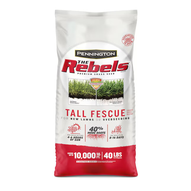 Pennington The Rebels 40-lb Tall Fescue Grass Seed-SALE