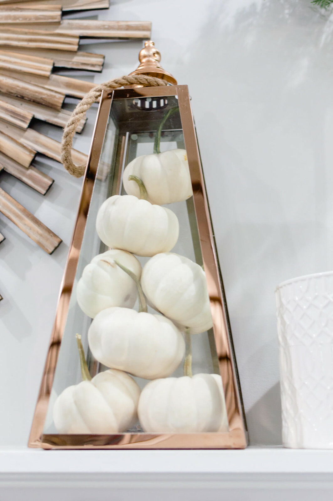 Baby Boo Pumpkin Seeds | Untreated White Mini Little Gourd Fall Squash Seed 2023
