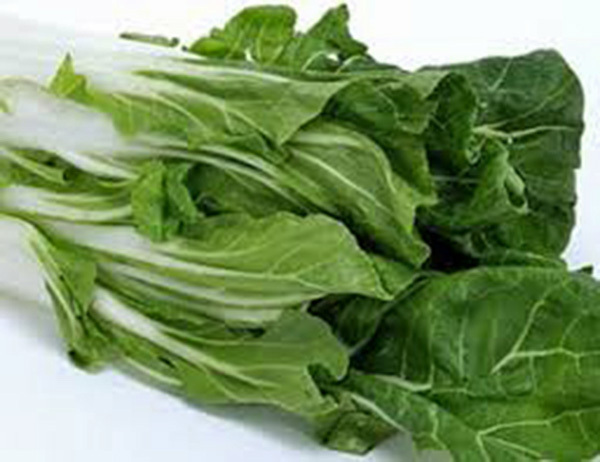 SWISS CHARD, LARGE WHITE RIBBED, HEIRLOOM, 25+SEEDS, TASTY CRISP LEAVES