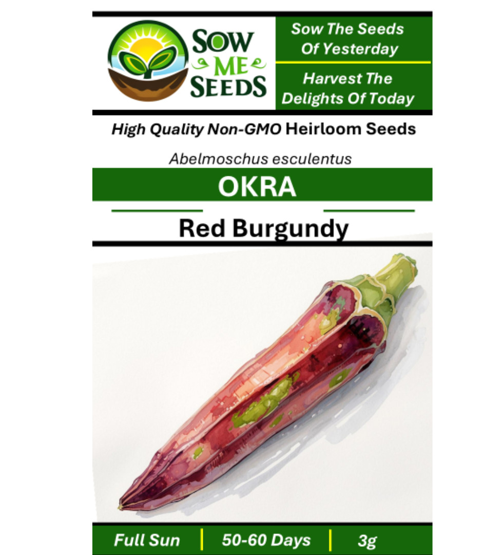 Okra Seeds – Red Burgundy: Non-GMO, Heirloom Vegetable Garden Seeds