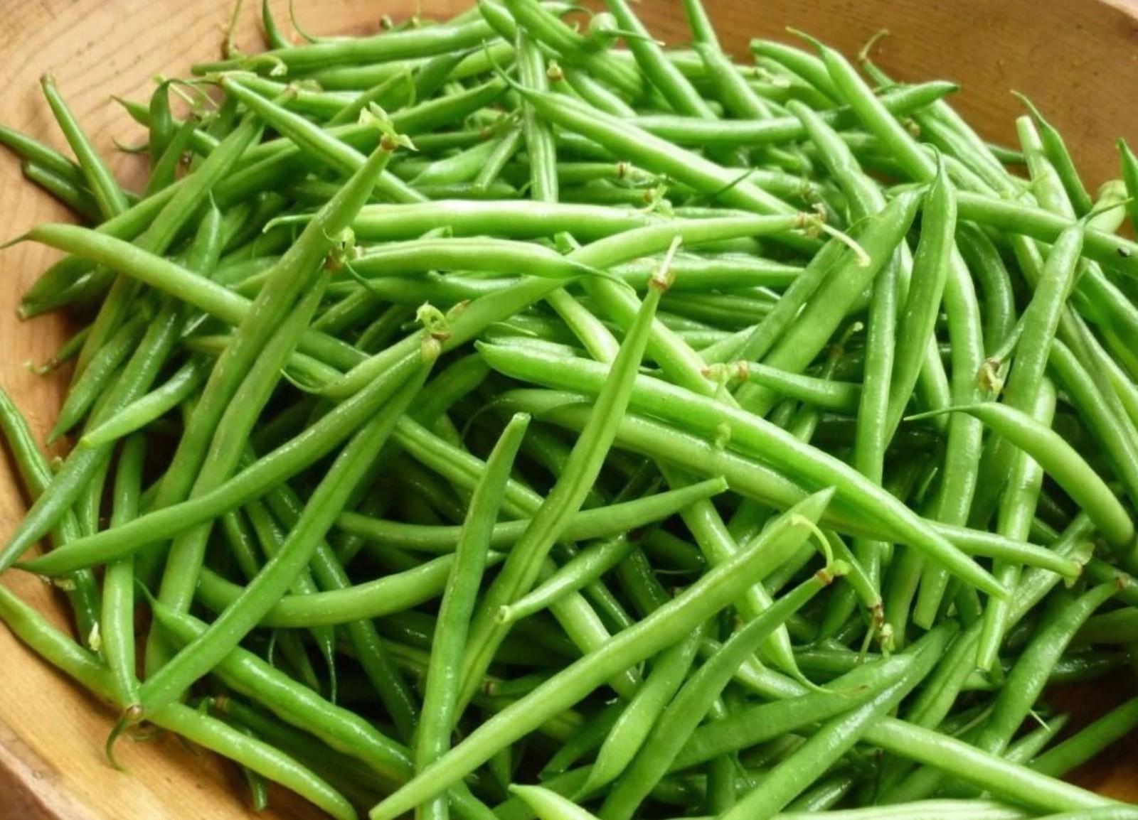 Petite French Filet Stringless Bush Bean (Haricot Vert) Fresh Seeds – Heirloom