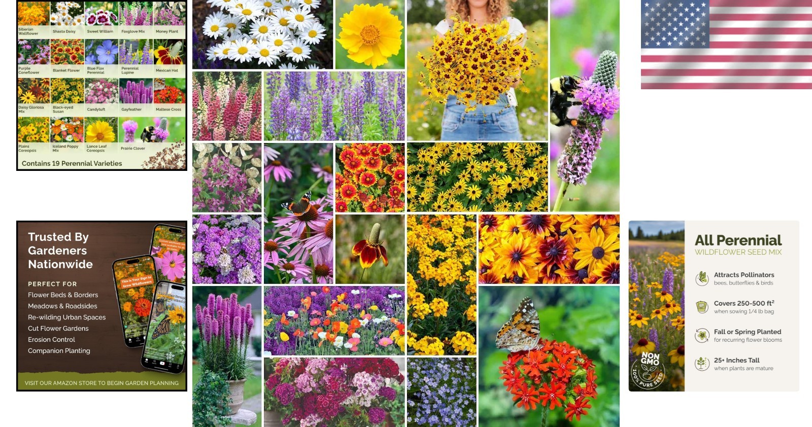 Wildflower Seeds