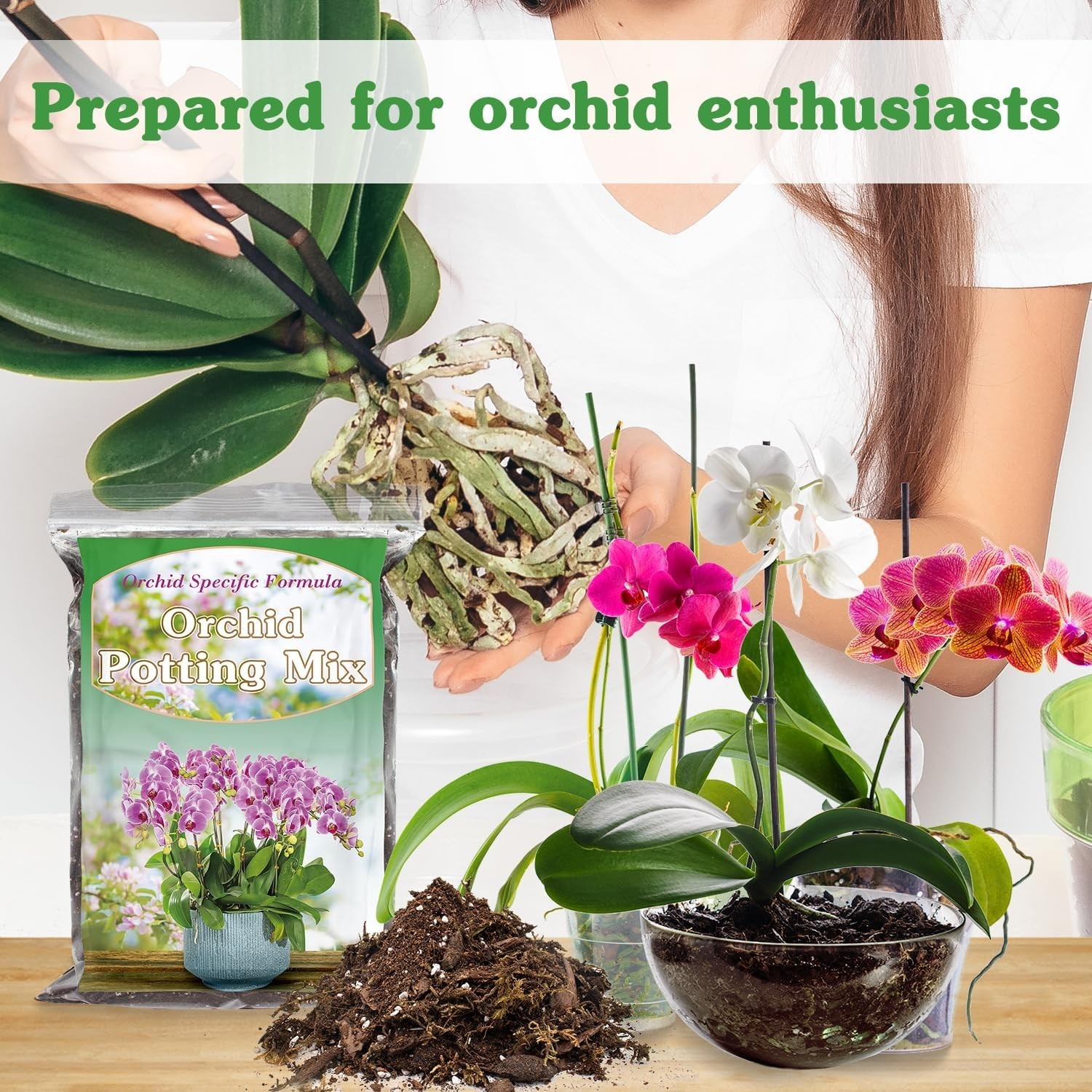 Orchid Potting Mix – Moss, Pine Bark, Coco Peat, and Perlite 1QT