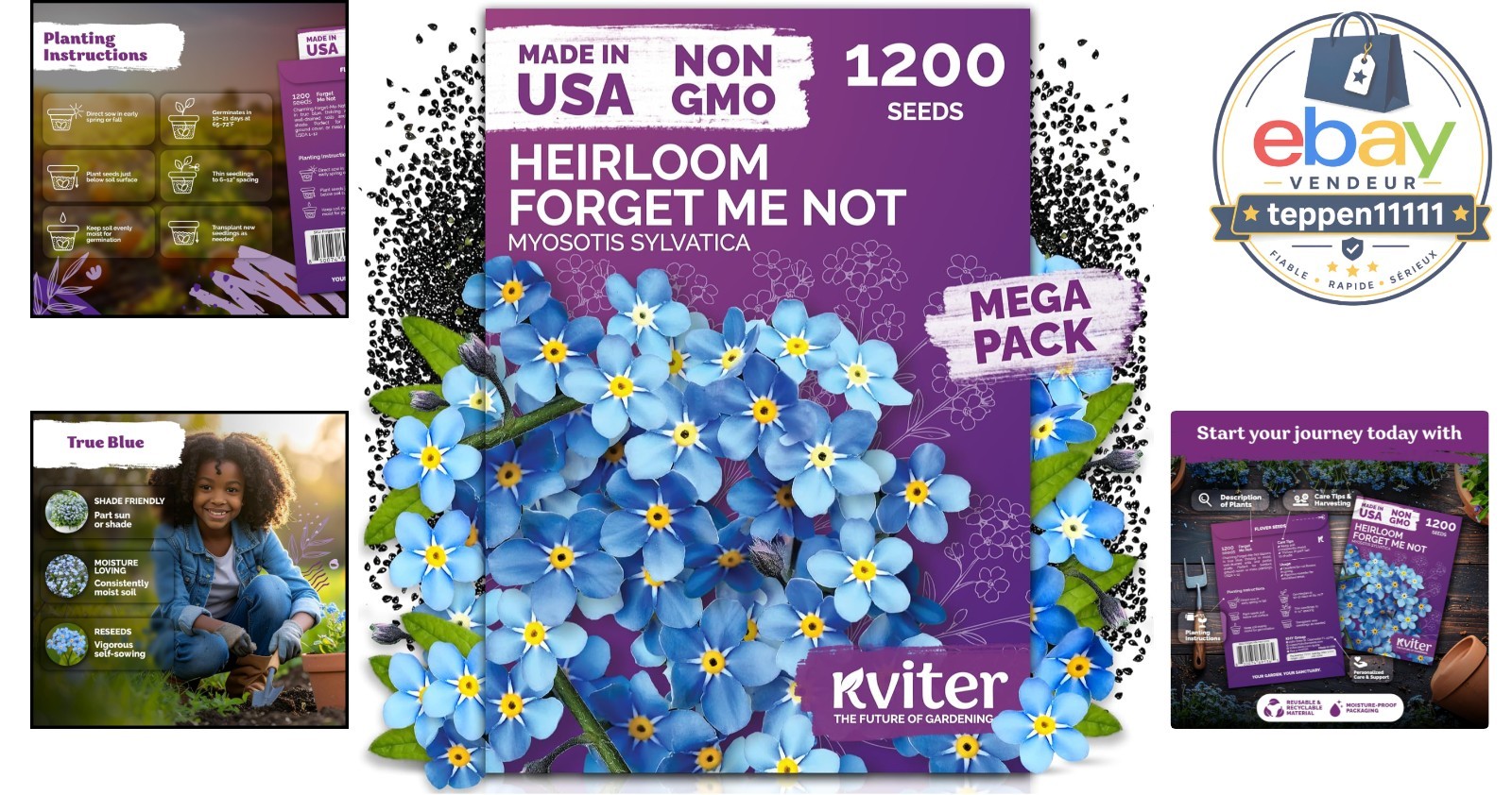 1200 Myosotis sylvatica Seeds – Blue Spring Flowers for Gardens