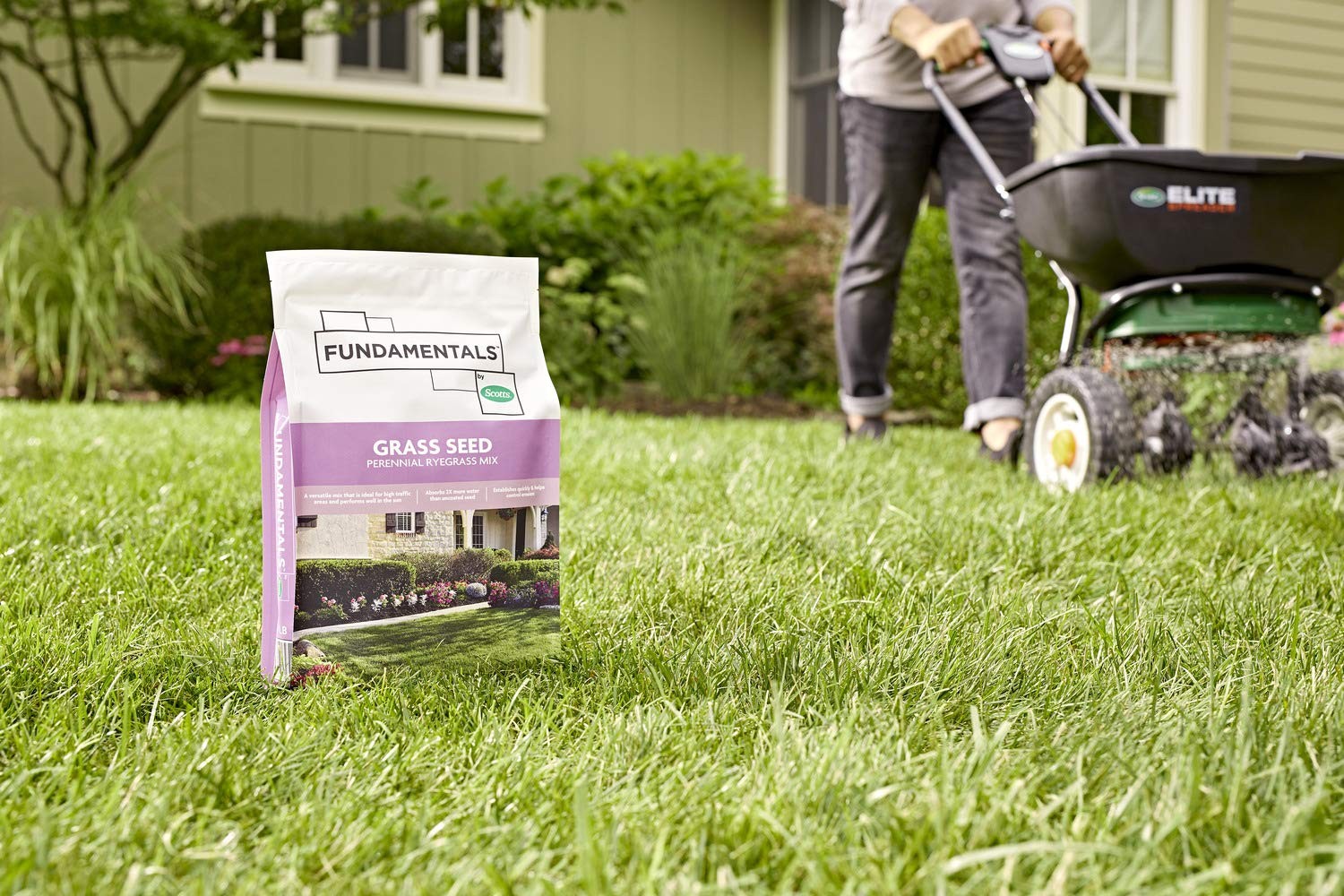 Fundamentals By Scotts Grass Seed Perennial Ryegrass Mix Ideal For Sunny High