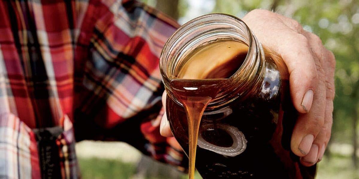 Sweet Sugar DRIP Sorghum Seeds – Makes a Sweet Syrup MMmmmmmm.It’s Good