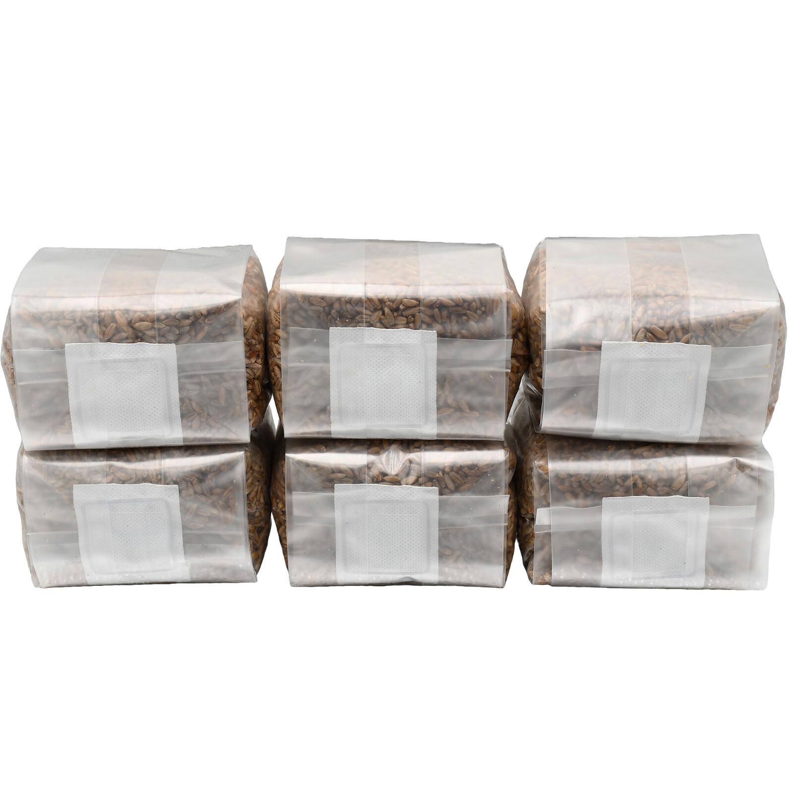Sterilized Rye Berry Mushroom Substrate (6 pack)