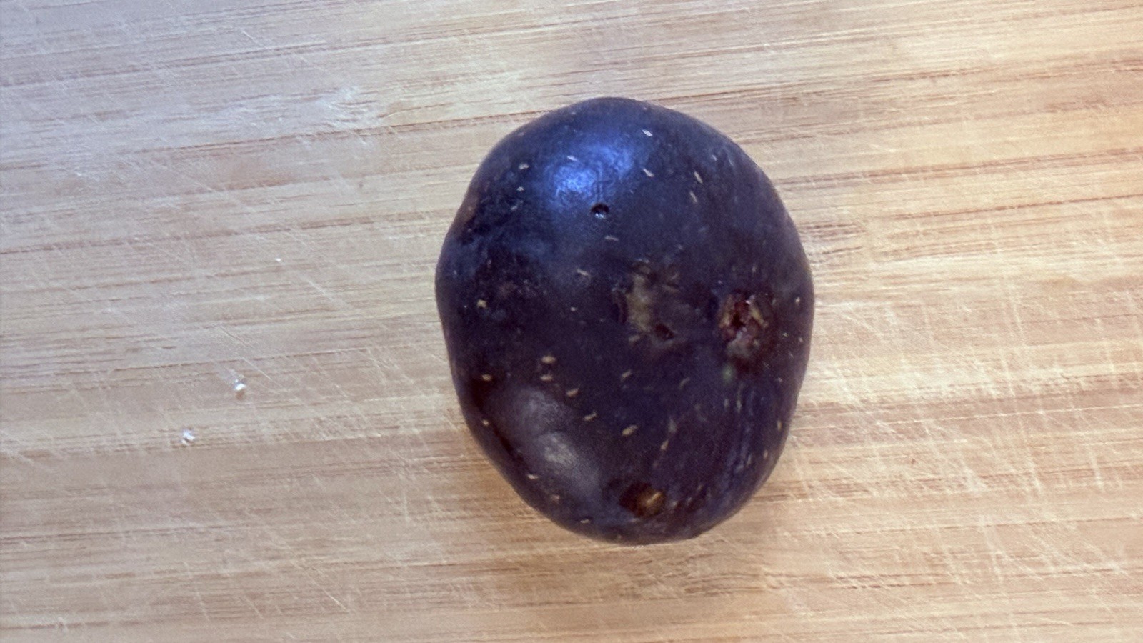 Fig Tree Cuttings -Select Variety Figs to Choose From