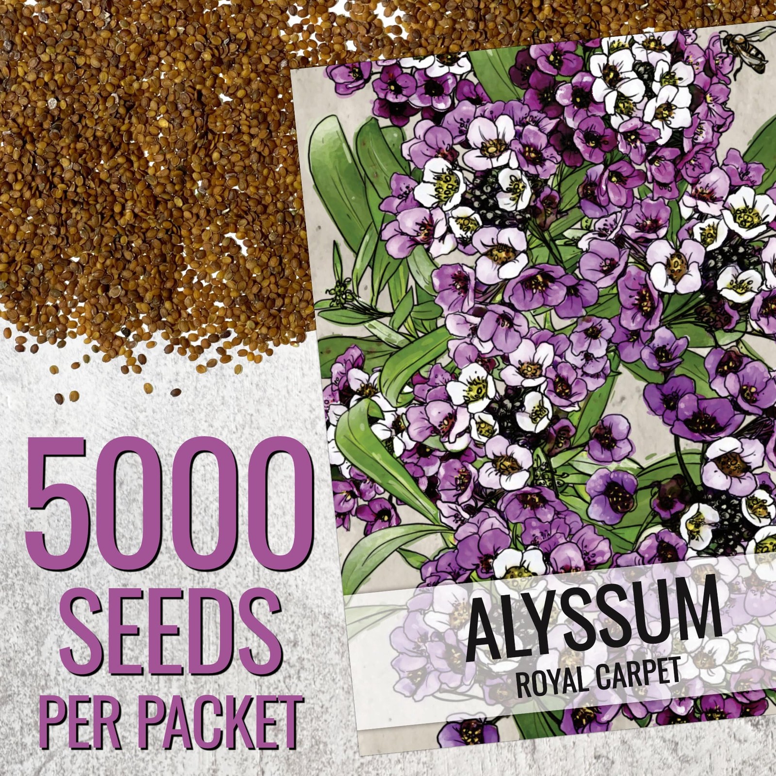 Royal Carpet Alyssum Seeds – Heirloom Perennial Flowers for Pollinator Gardens