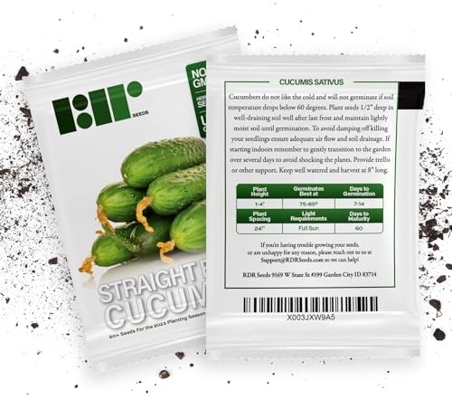 50 Straight Eight Cucumber Seeds Heirloom Non-GMO USA Grown Vegetable Planting