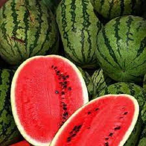 Premium All Sweet Watermelon – Fresh Heirloom Seeds – One of the sweetest ever!