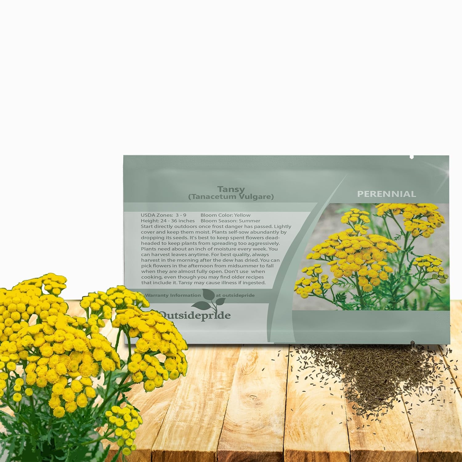 Tansy Seeds 5000 Pcs. Perennial Herb Seeds for Vibrant Yellow Blooms