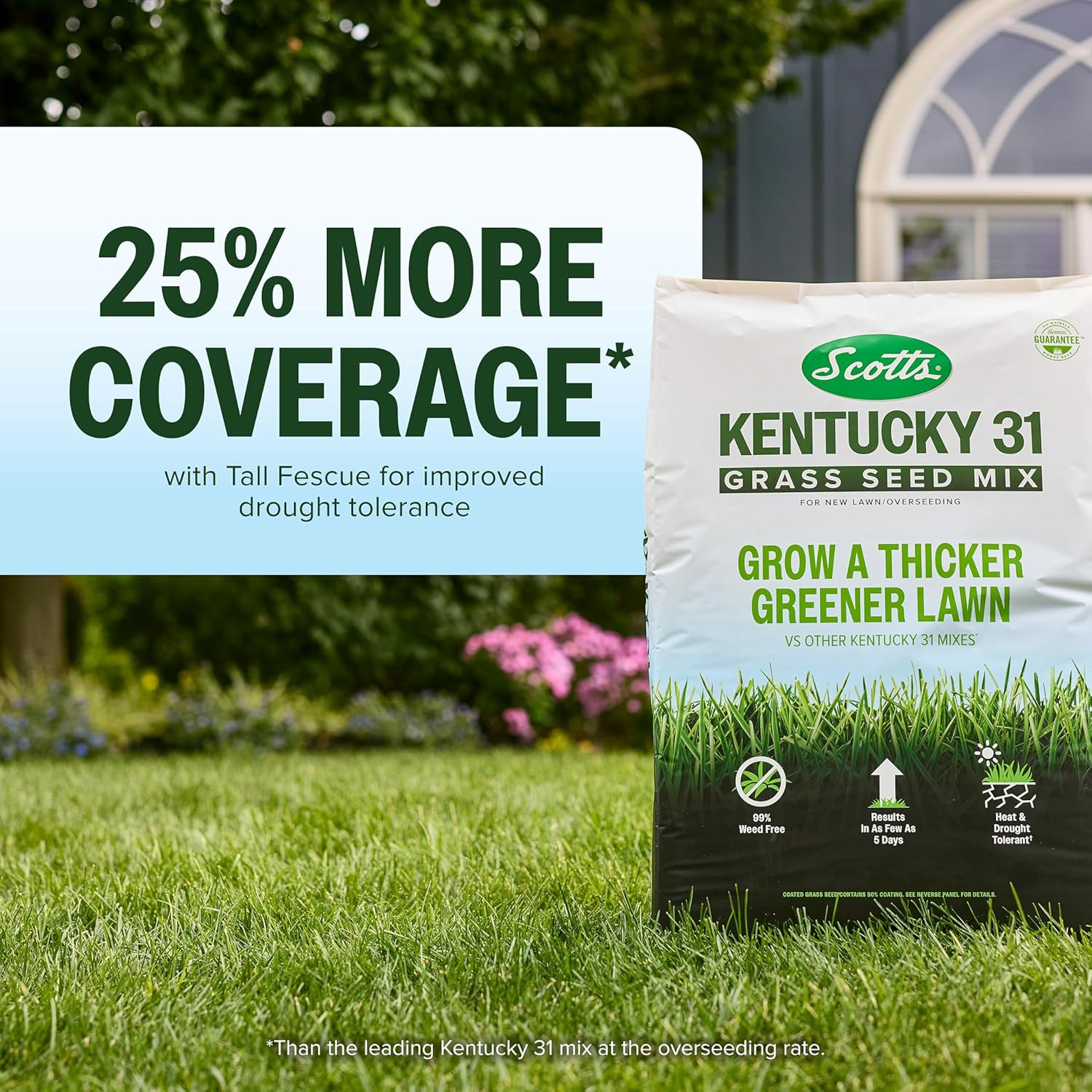 Grass Seed Mix for New Lawn Overseeding Garden Covers up to 10,000 Sq. Ft.