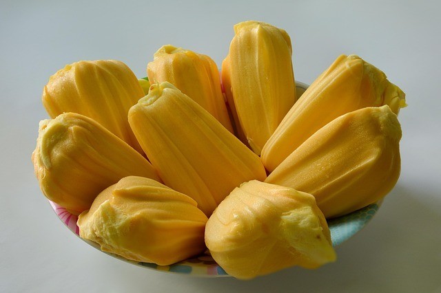 Jackfruit Plant (1 plant per pot) -Grow Your Own Sweet,Tropical Delights at home