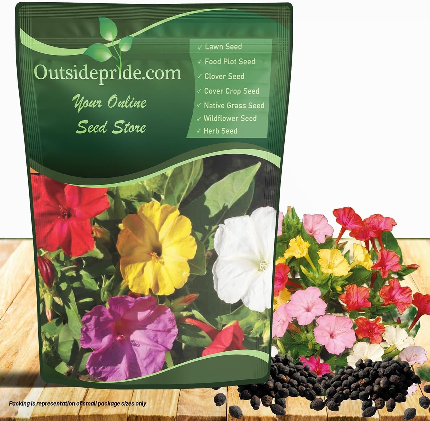 Colorful Perennial Flowers – Pollinator & Evening Gardens