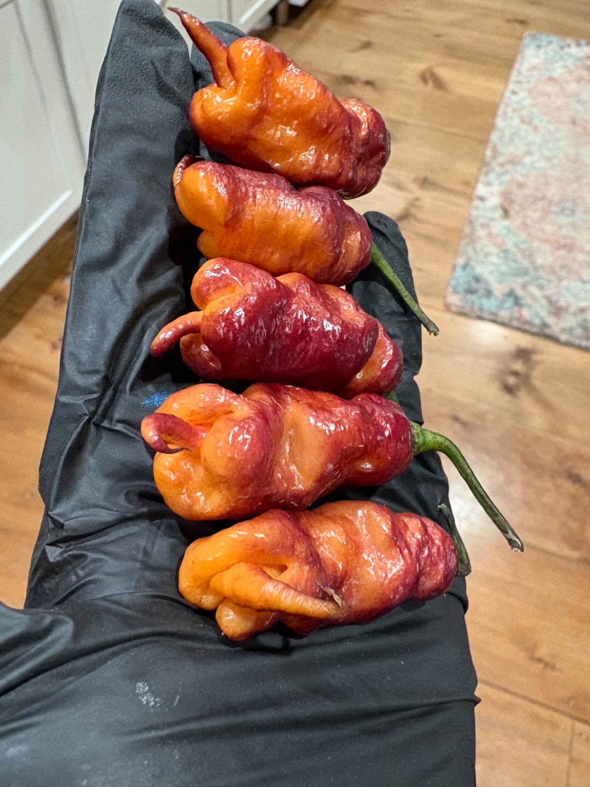 20 RARE Pink Tiger Reaper Seeds