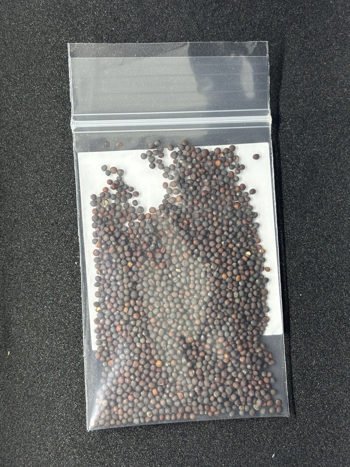 Purple Top Turnip Seeds-50 Grams