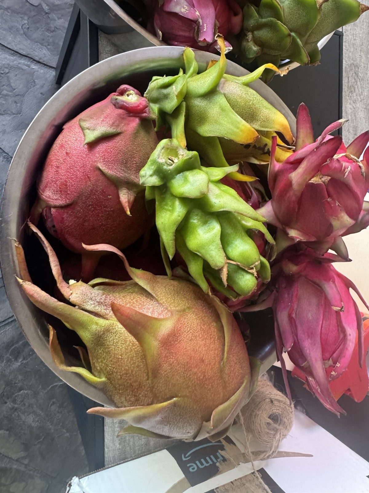 20 Dragon Fruit cuttings 8-12 inches long from ￼ ￼