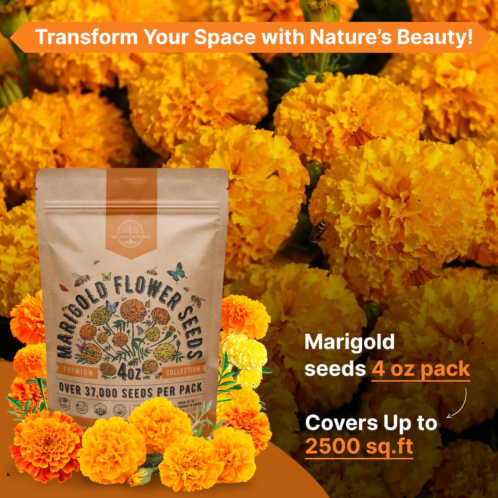 Marigold Seeds Pack 4 oz – Over 4oz, Orange, Yellow, Red, Green
