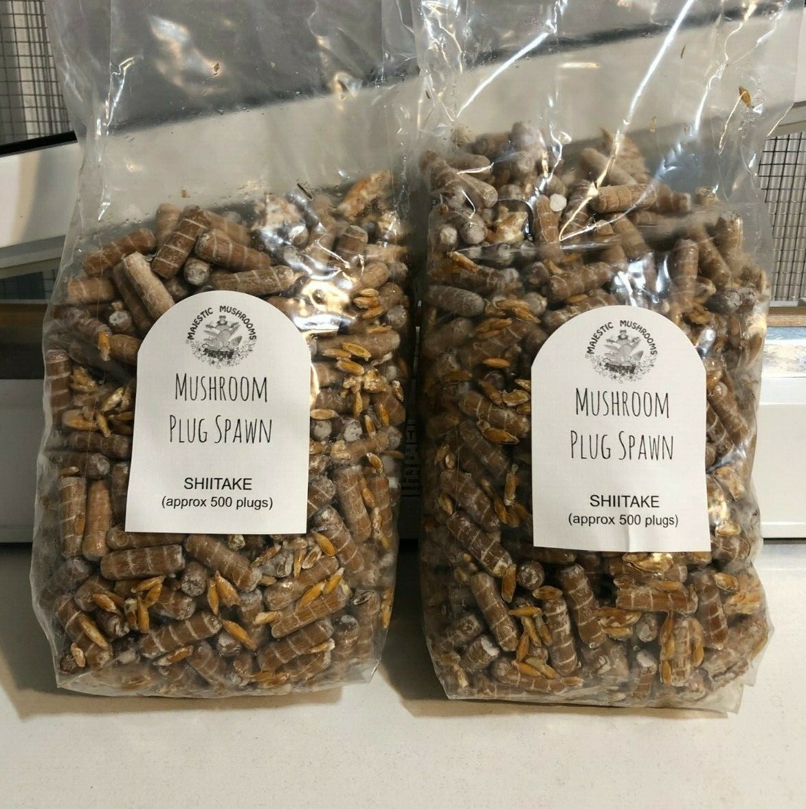 Shiitake Mushroom Plug Spawn 1000X – FREE USA shipping