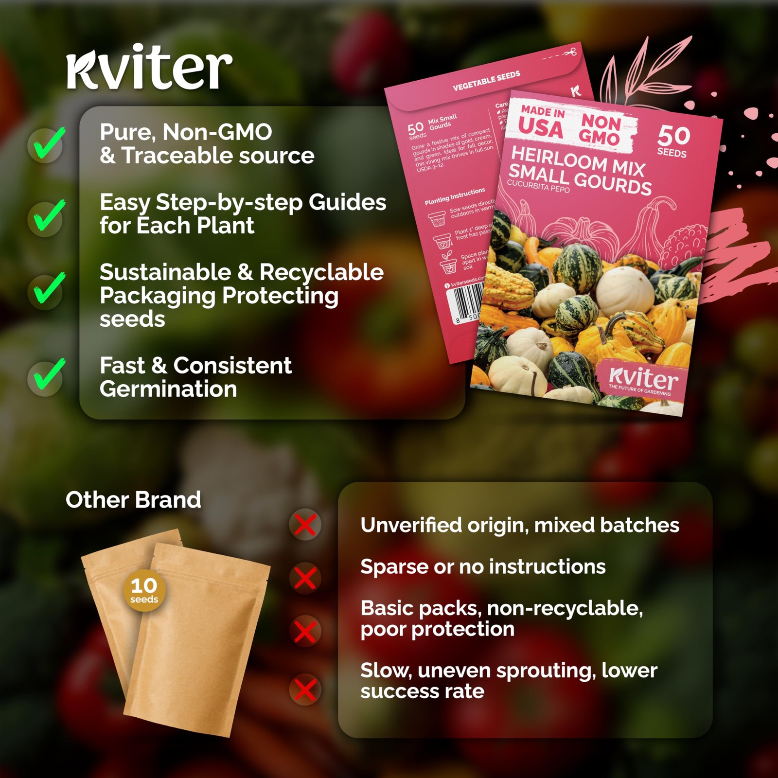 KVITER 50 Small Gourd Seeds Mix (Cucurbita pepo)