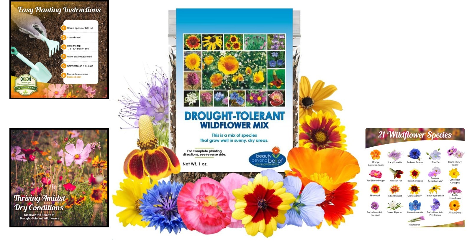 1oz Drought-Resistant Wildflower Seeds , Attract Pollinators, Open-Pollinated