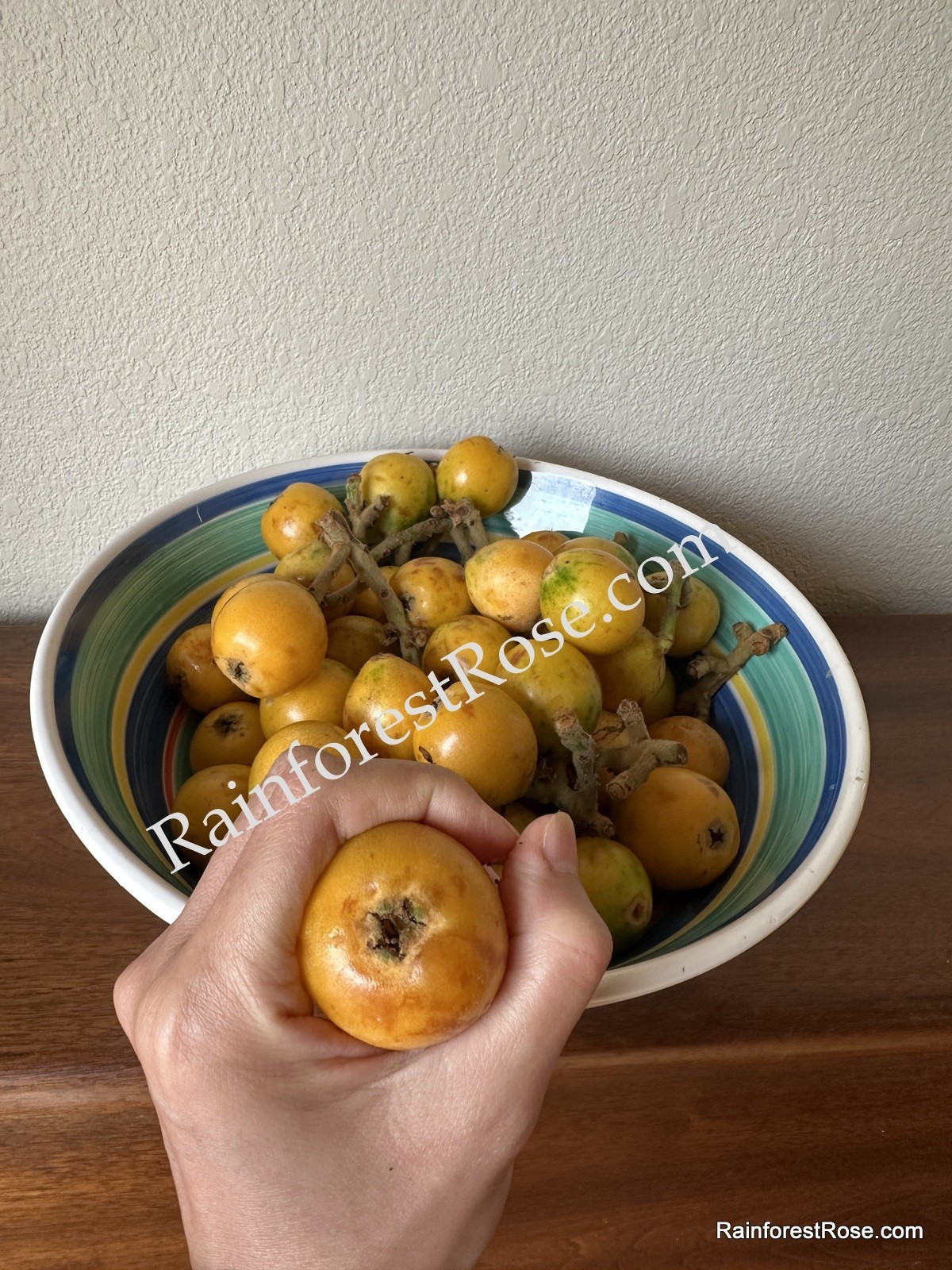 20 fresh Loquat seeds delicious fruit, sweet, sour vitamin Rosaceae Rose family
