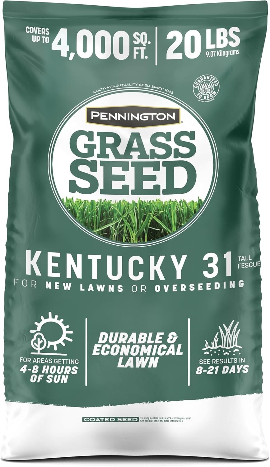 Kentucky 31 Tall Fescue Grass Seed