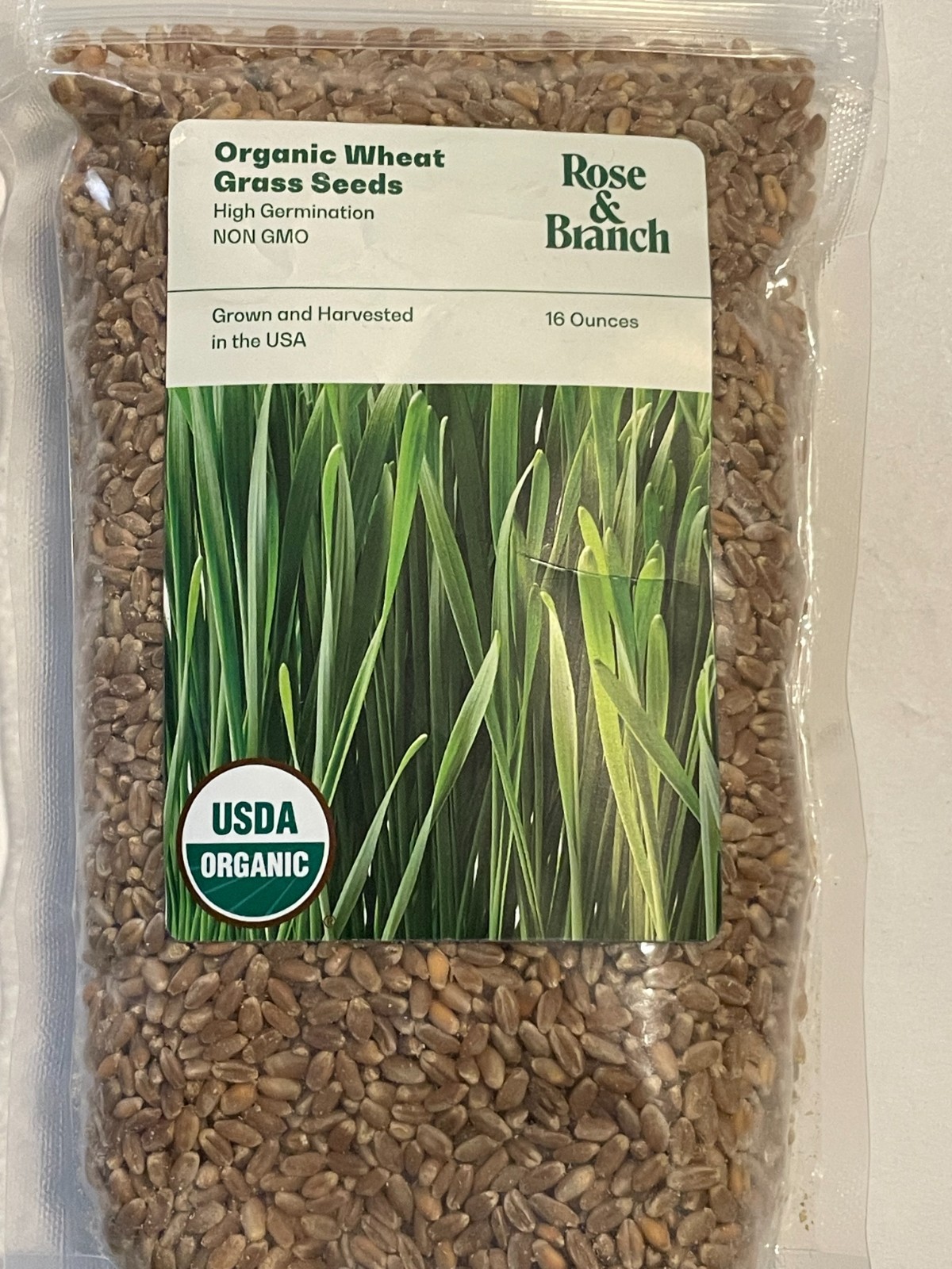 Rose & Branch Organic Wheat Grass Seeds cats Non-GMO High Germination Brown 1 LB