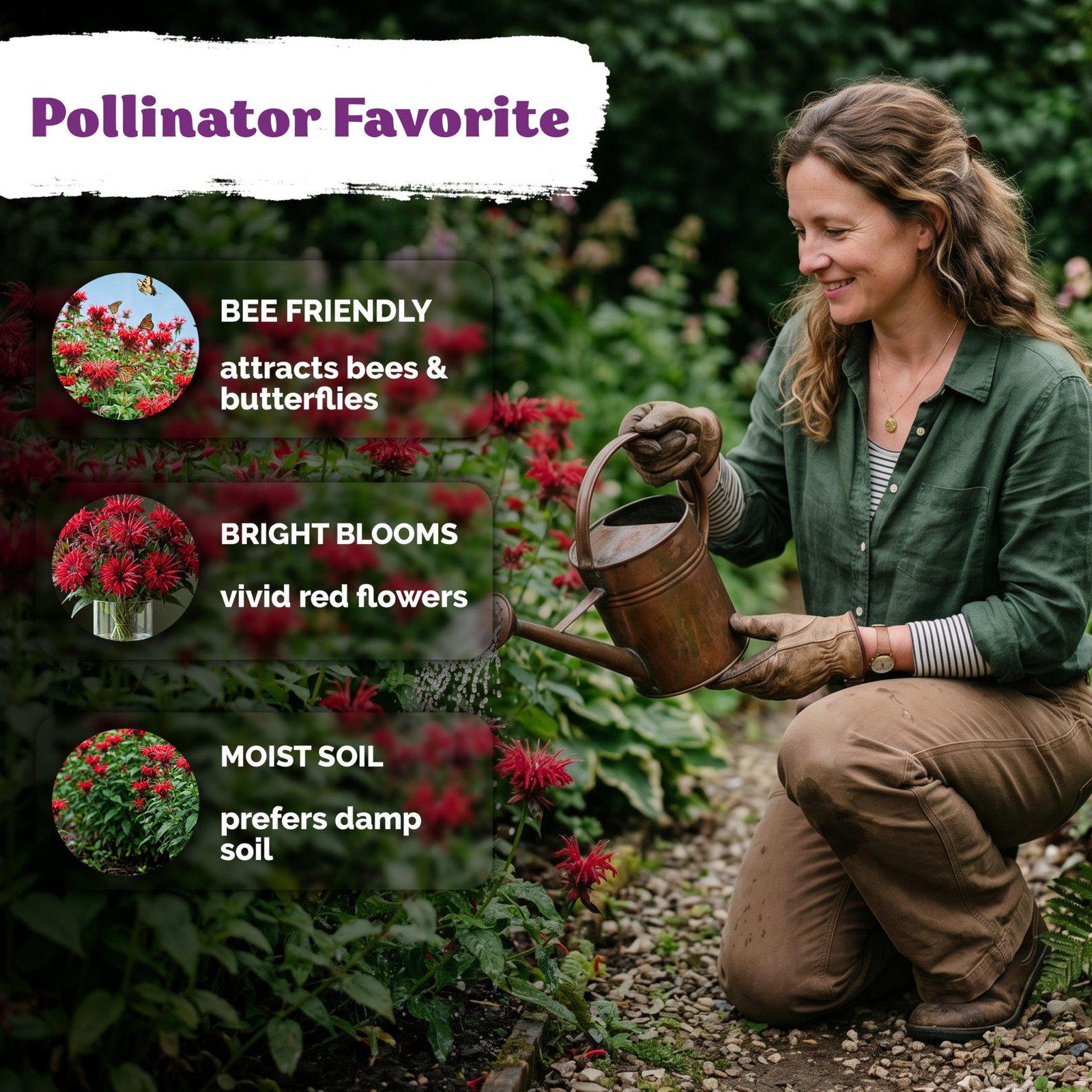 KVITER 100 Red Bee Balm Seeds Perennial (Monarda Didyma)