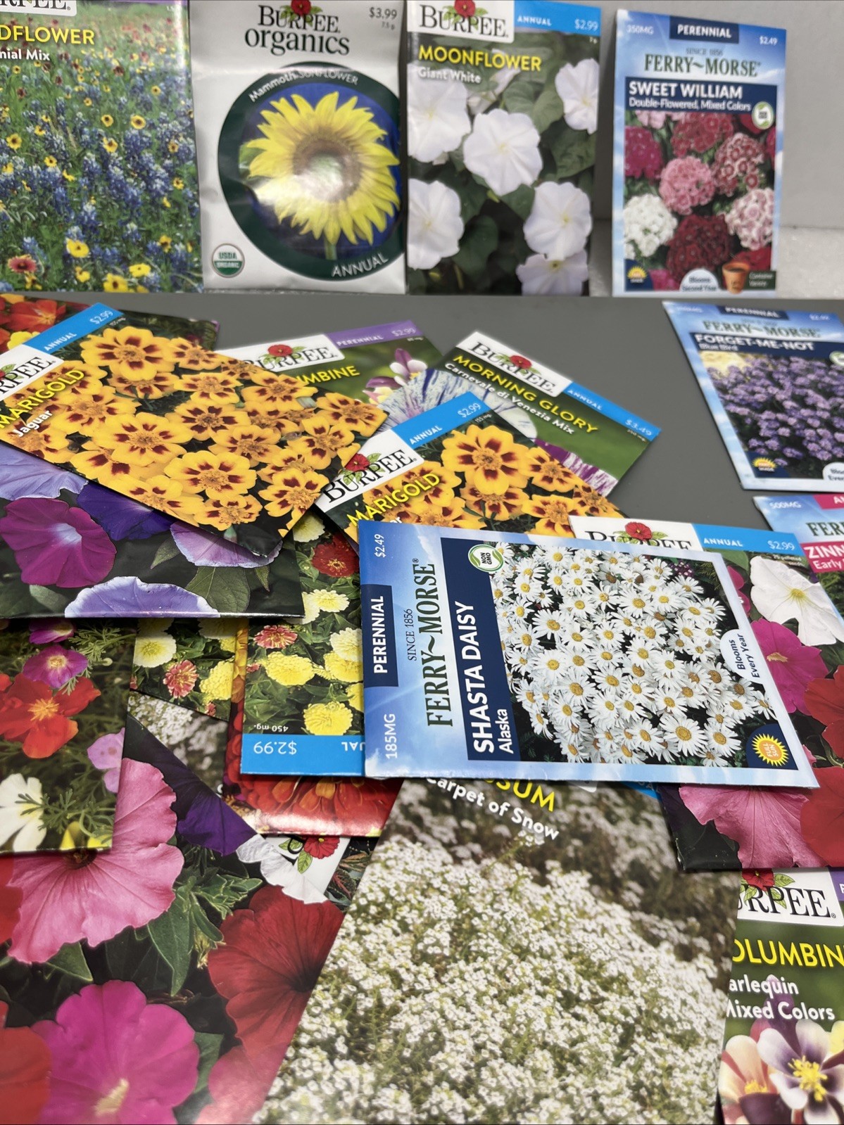 Flowers annual perennial Plant Seeds (Assorted Lot of 100) sell by 11/26 Garden