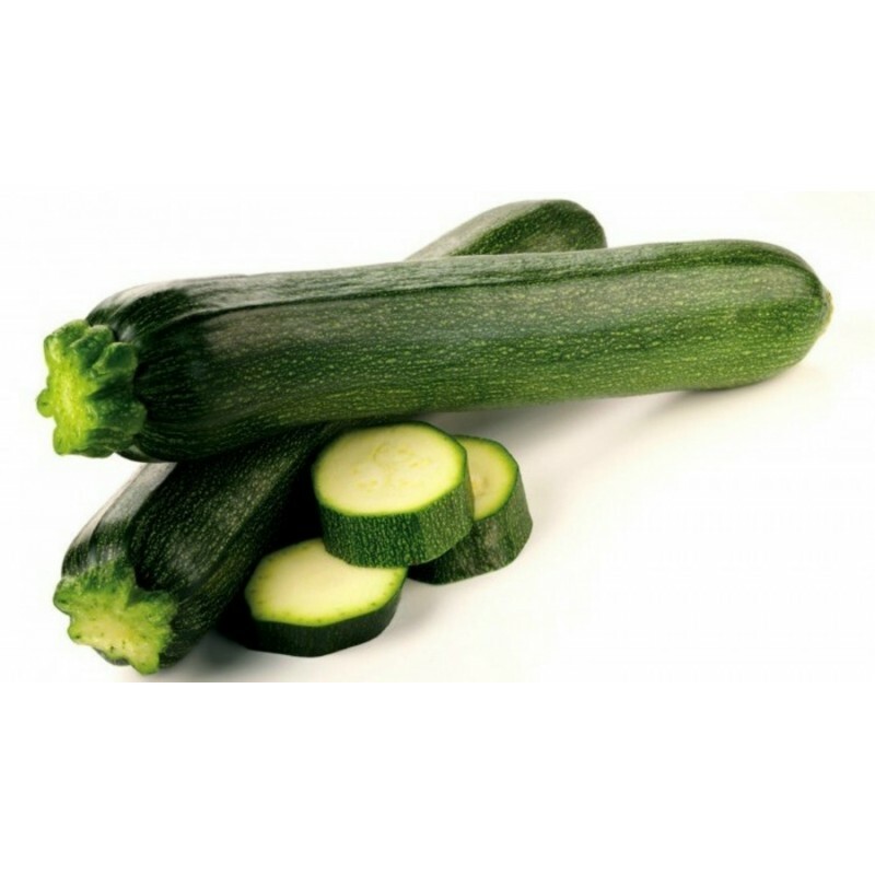 Squash Black Beauty Zucchini Seeds 25 Ct Summer Vegetable NON-GMO FREE SHIPPING