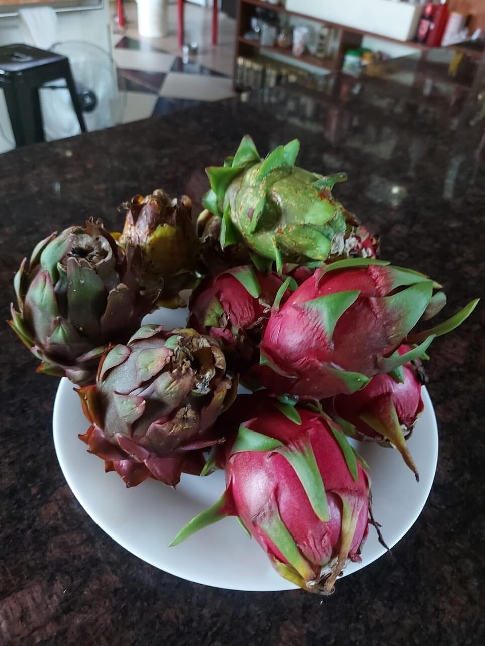 ULTRA RARE DRAGON FRUIT CUTTINGS – MULTIPLE VARIETIES – 8″ – 12: SIZE