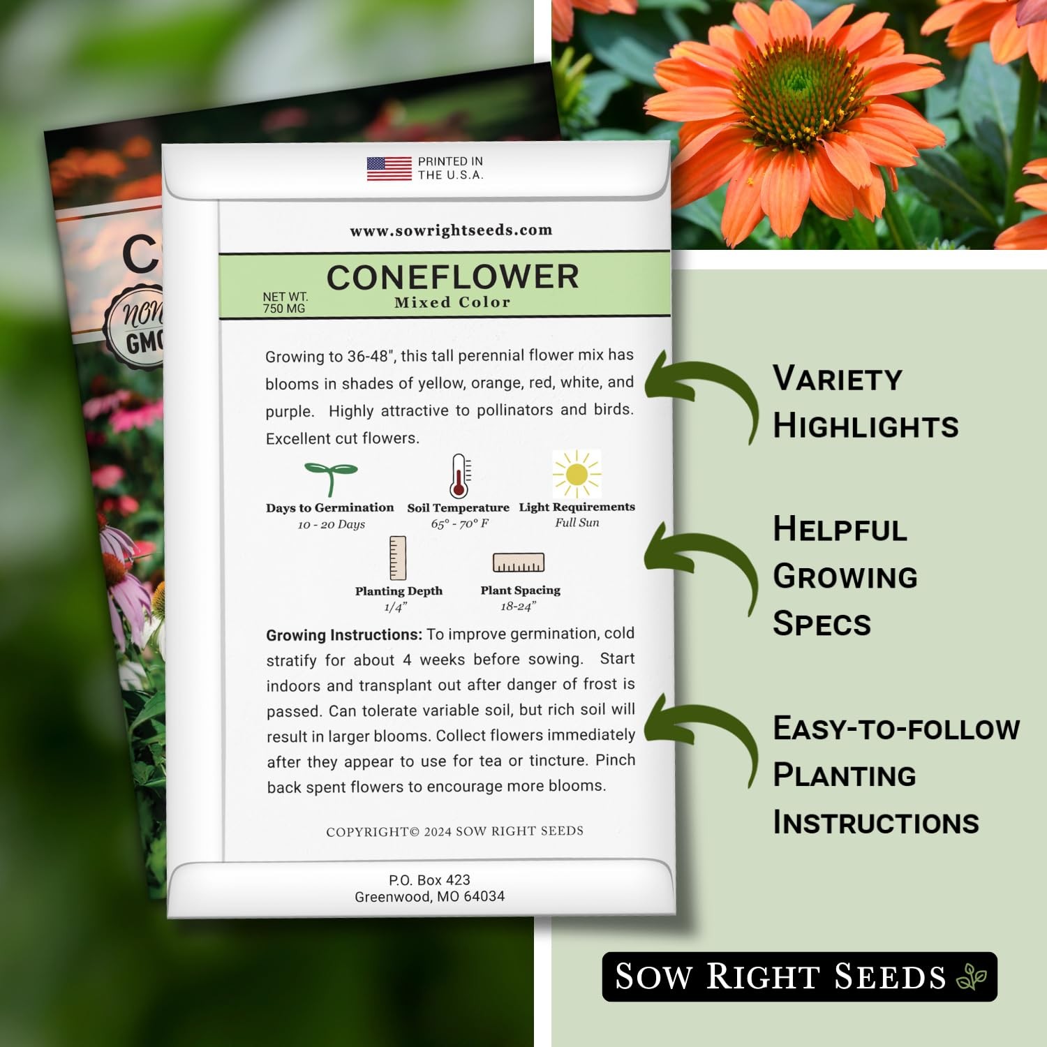 Sow Right Seeds – Mixed Color Coneflower Echinacea for Planting – Mix