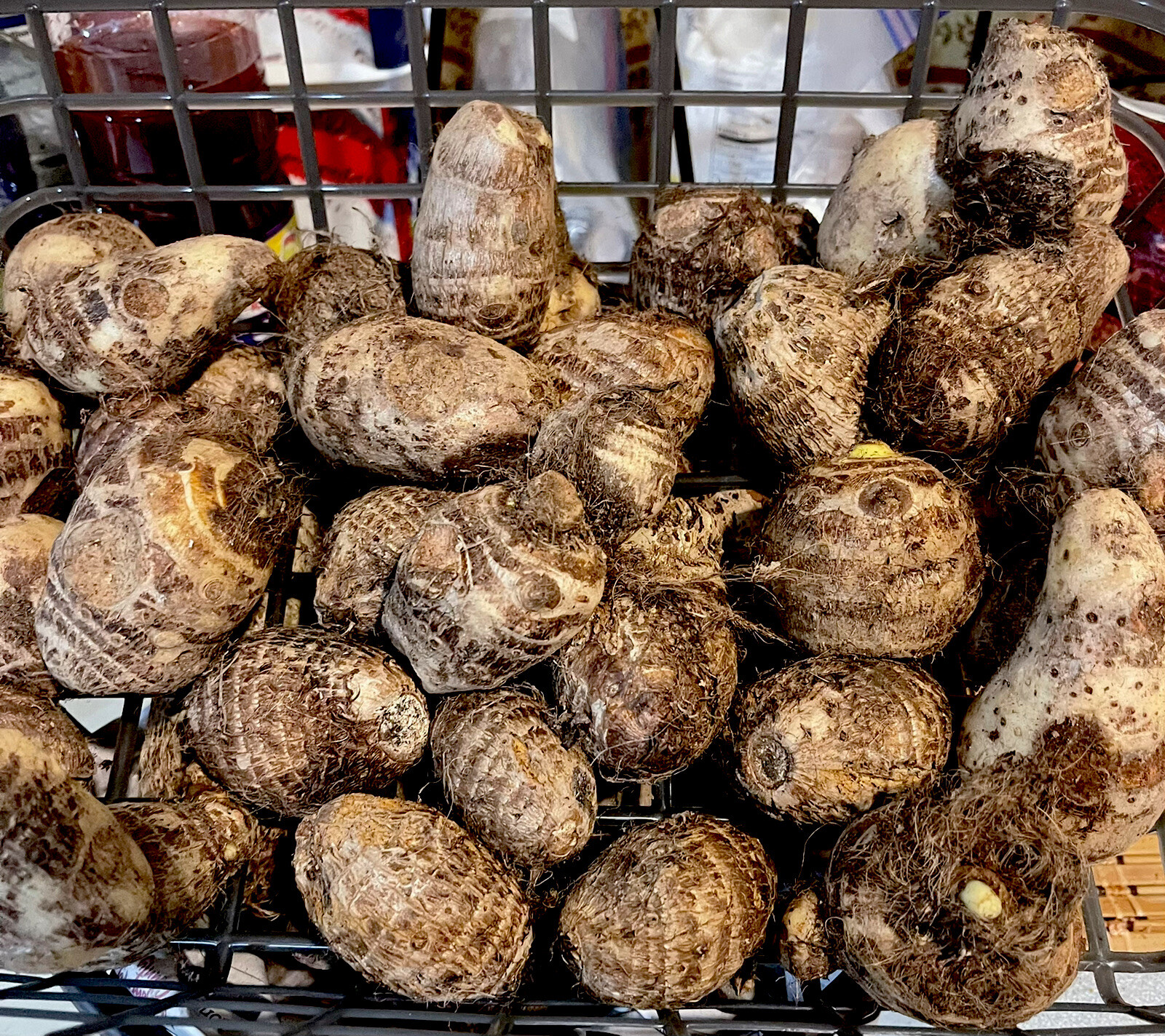 Malanga Coco Yam 3 Lbs tubers~2-4” Inches~ For Consumption Or Planting