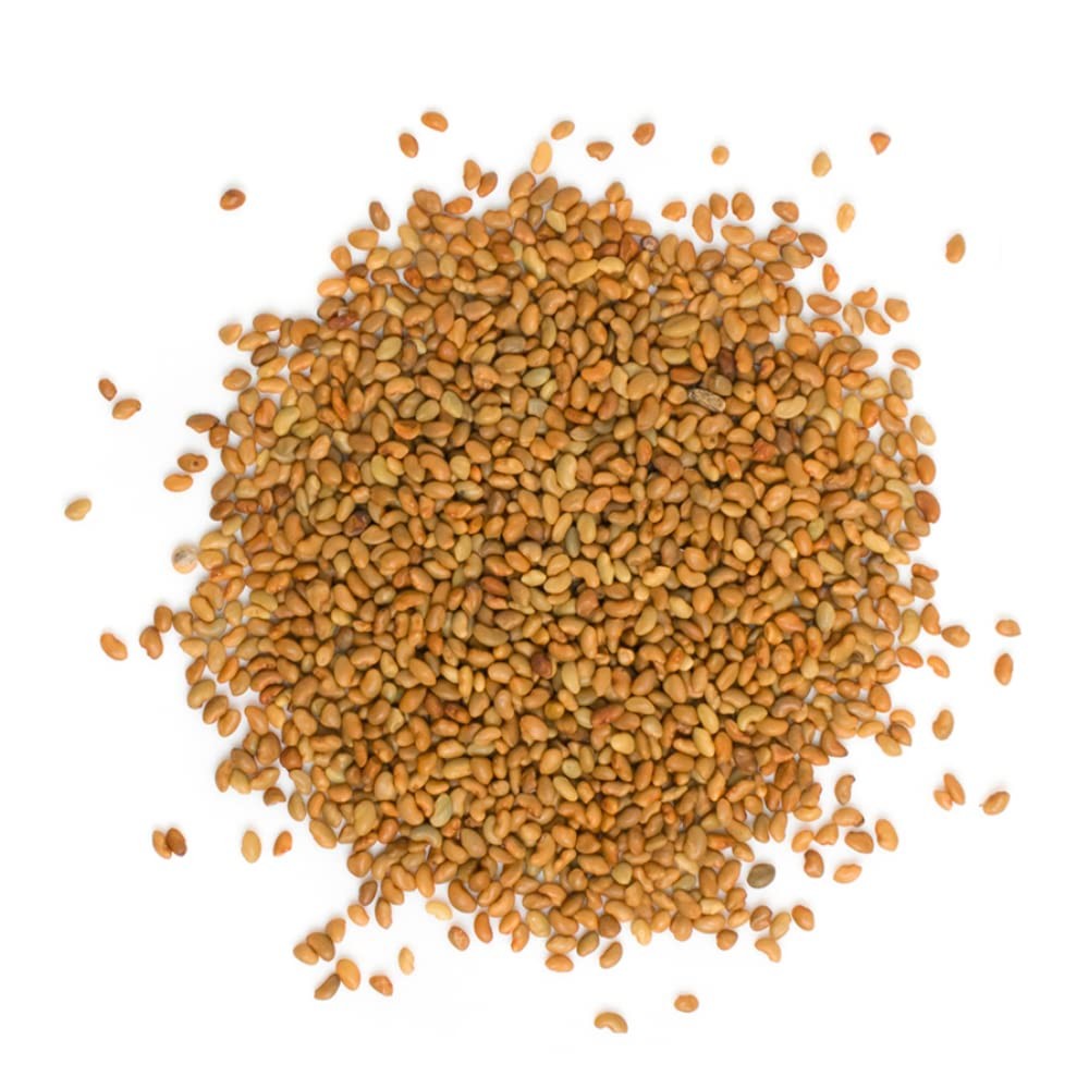 Tradeking Usda Organic Alfalfa Sprouting Seeds 1 Pound Perfect For Sprouting