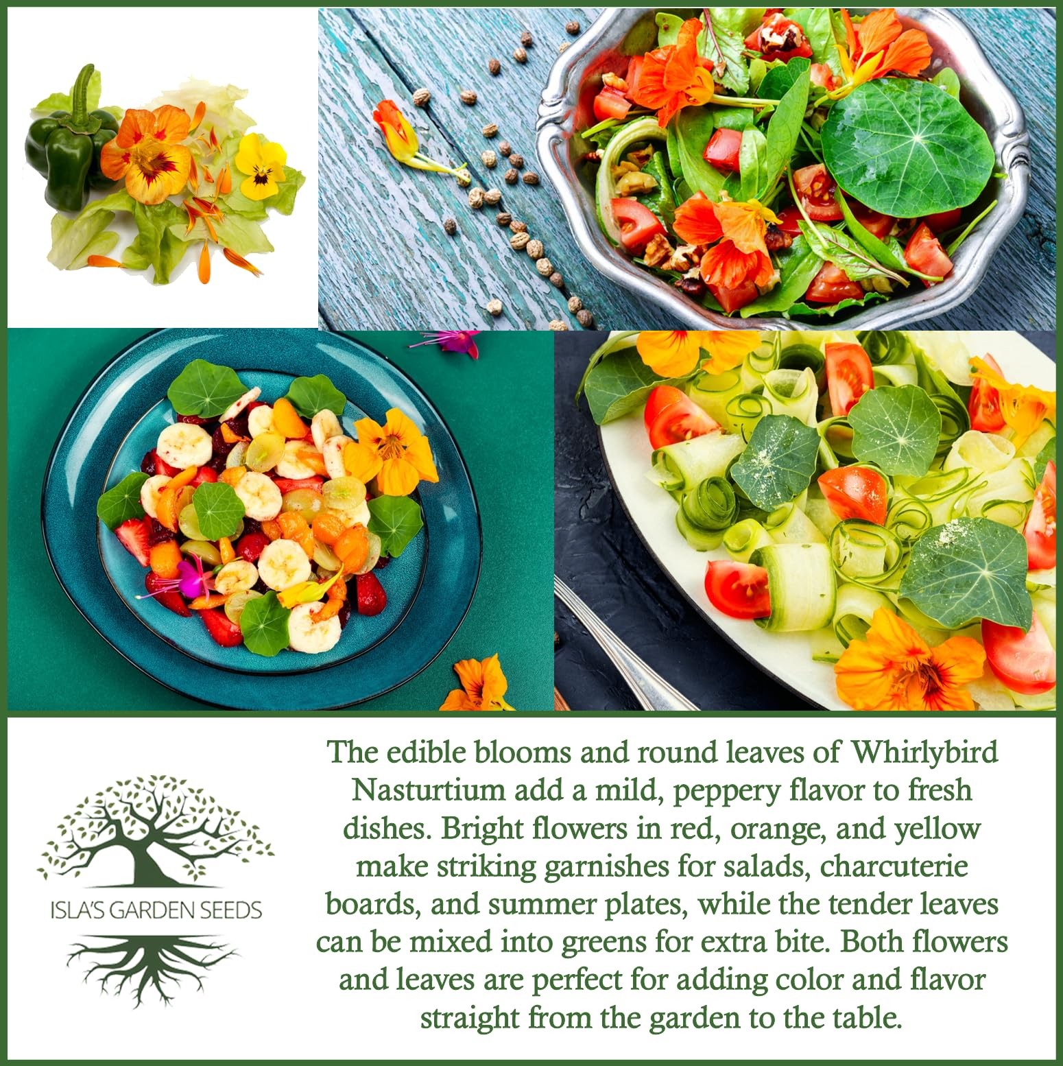 Mix Nasturtium Seeds (Tropaeolum nanum) – 50+ Heirloom Non-GMO Red