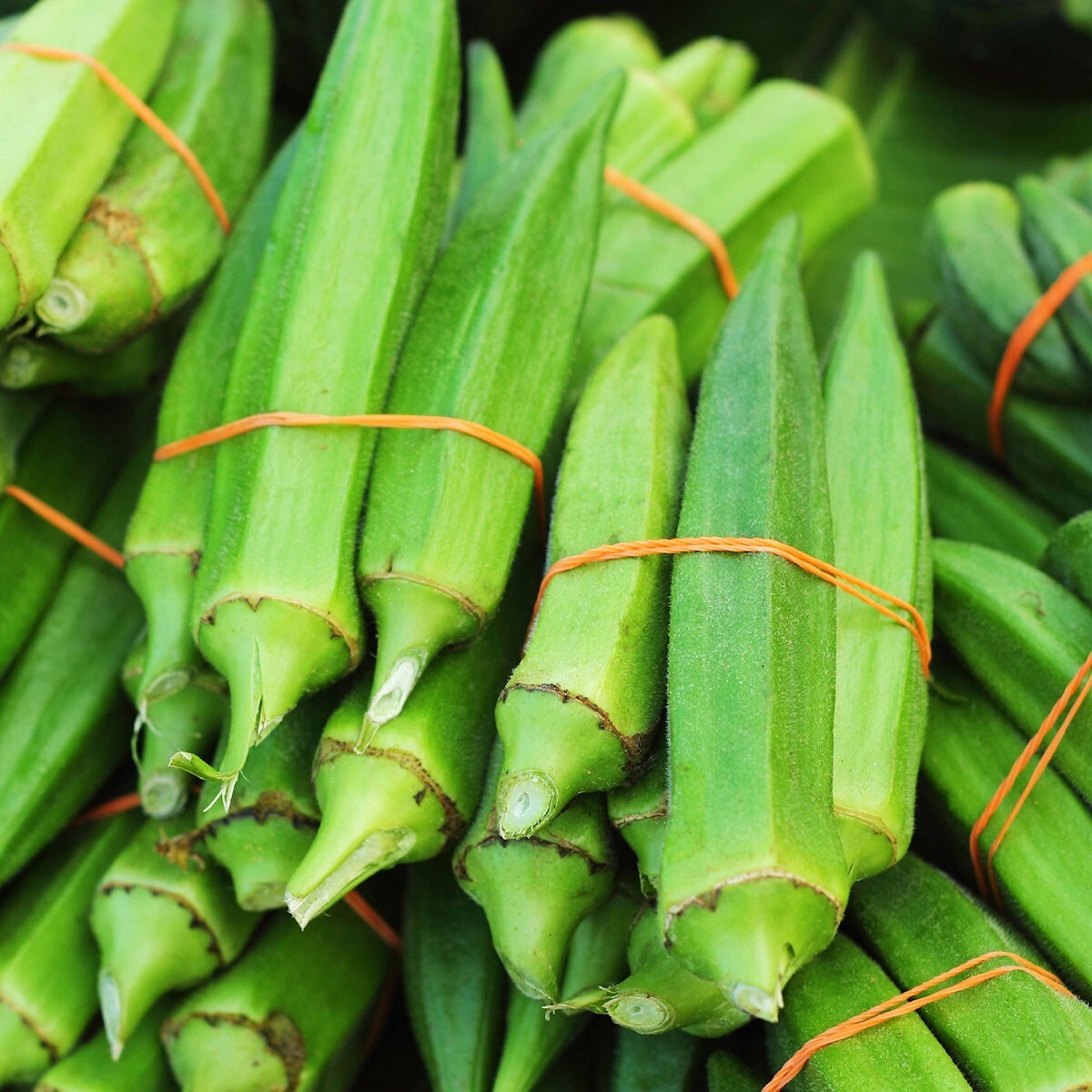 1/4 Lb Clemson Spineless Okra Seeds – Everwilde Farms Mylar Seed Packet