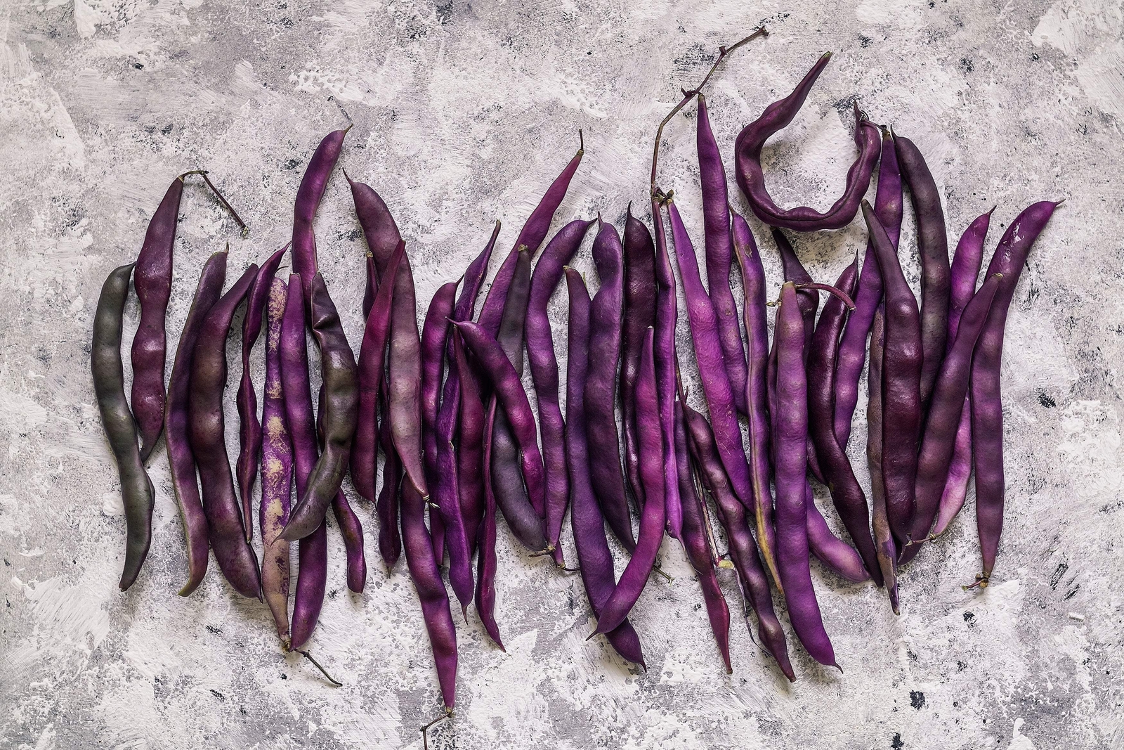 40 Royal PURPLE POD BEAN Phaseolus Vulgaris Vegetable Seeds