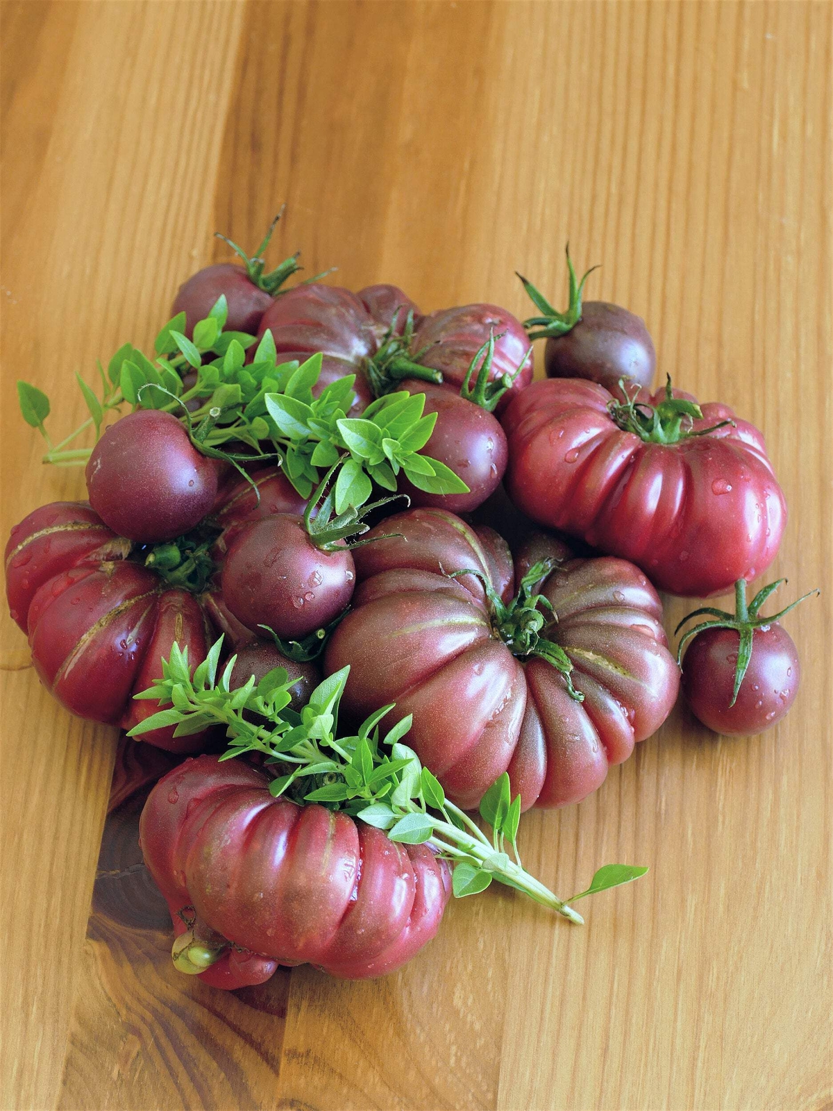 40 PURPLE CALABASH TOMATO Solanum Lycopersicum Indeterminate Heirloom Seeds