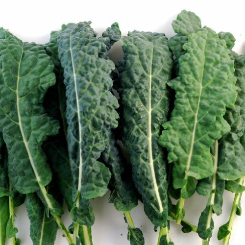 Kale Lacinato (AKA Dinosaur or Tuscan) Heirloom By Seed Kingdom 30,000 Seeds