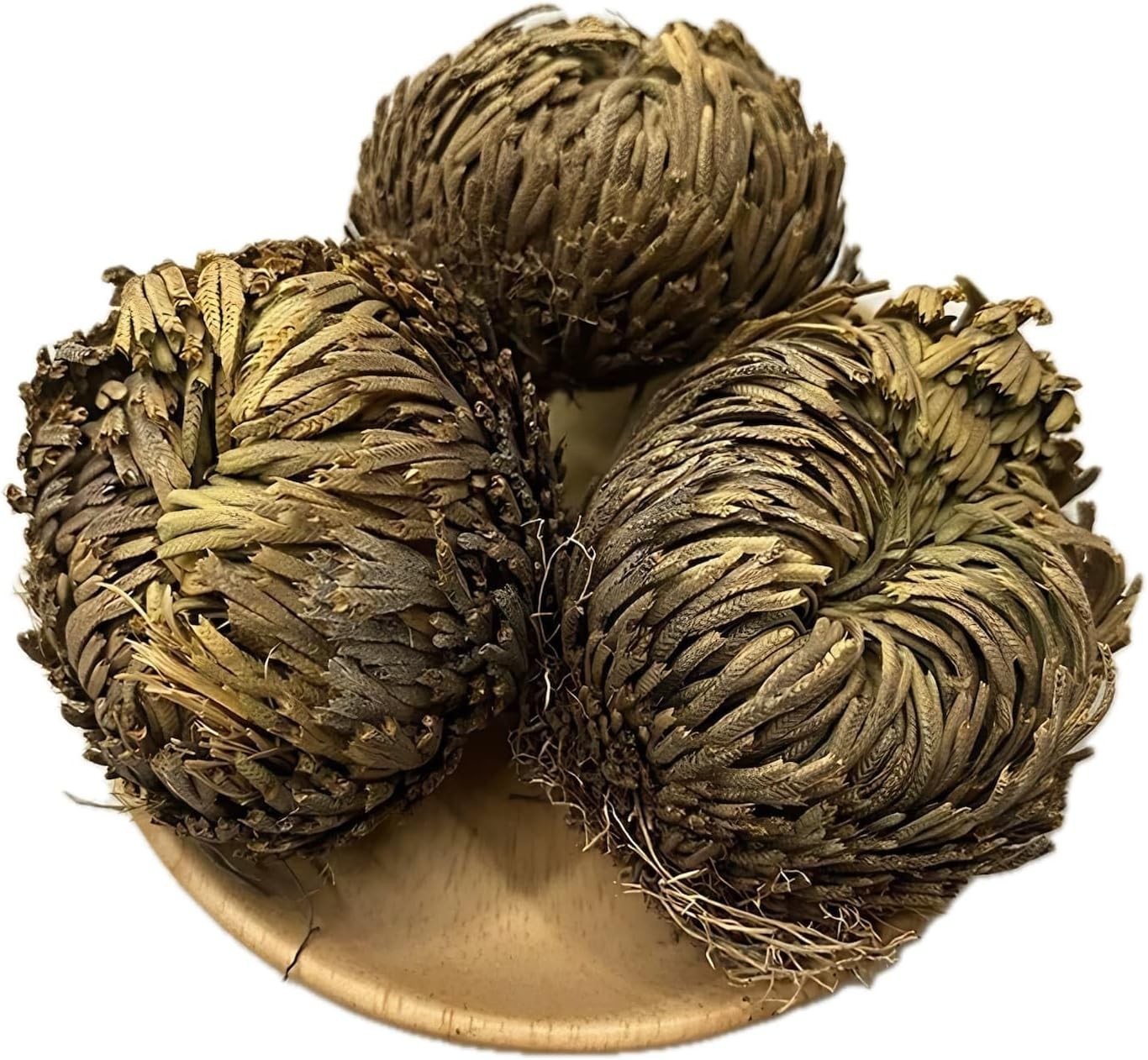 5 Pack Big 3.5 Rose of Jericho Resurrection Plants Flor De Jerico Original